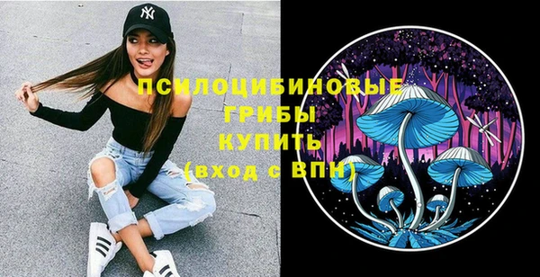 прущая мука Вязники