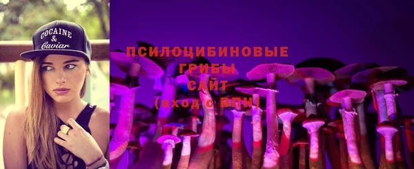 СК Горно-Алтайск