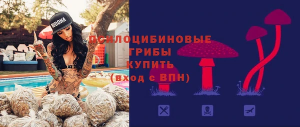 spice Вязьма